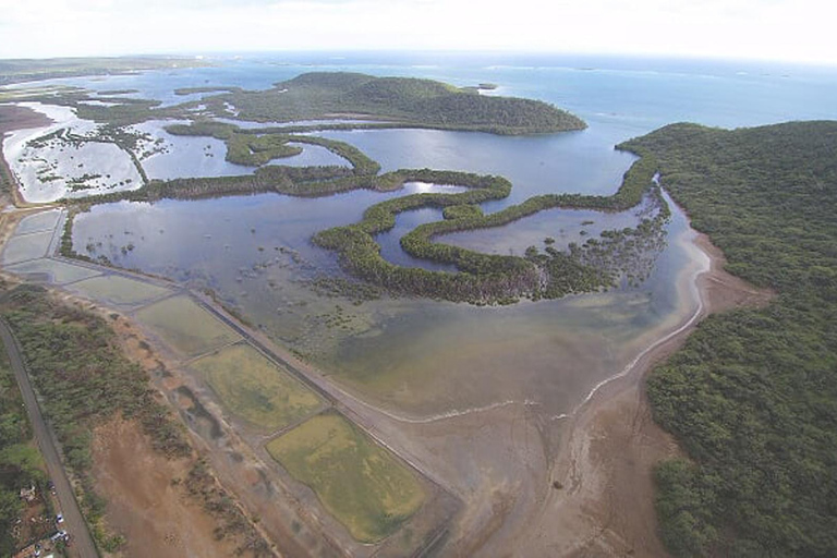 From San Juan: Bio Bay Magic & Rum Tasting Tour From San Juan: Bioluminescent Bay Boat Tour and Hot Springs