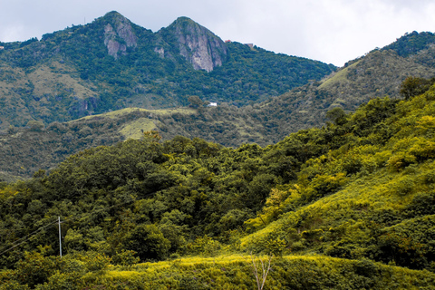 From San Juan: Bio Bay Magic & Rum Tasting Tour From San Juan: Bioluminescent Bay Boat Tour and Hot Springs