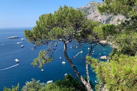 Depuis Sorrente : Excursion d'une journée à Capri et Anacapri avec la Grotte BleueVisite de Capri en espagnol