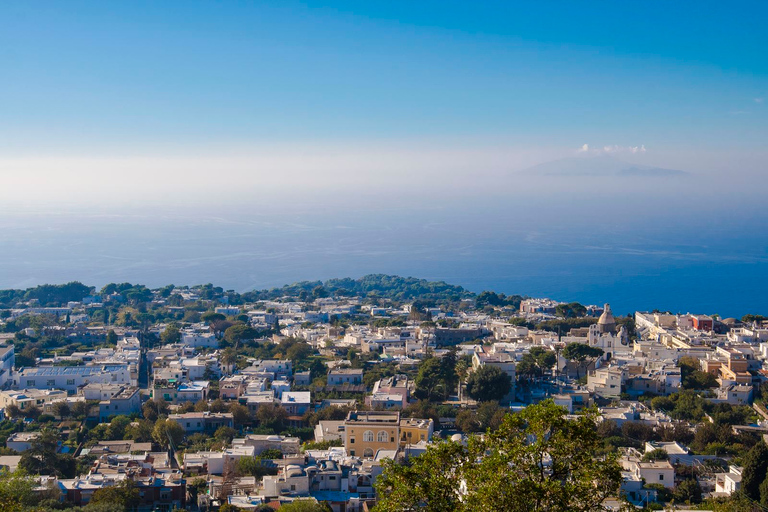 Depuis Sorrente : Excursion d'une journée à Capri et Anacapri avec la Grotte BleueVisite de Capri en anglais