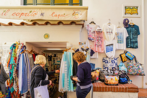 Depuis Sorrente : Excursion d'une journée à Capri et Anacapri avec la Grotte BleueVisite de Capri en anglais