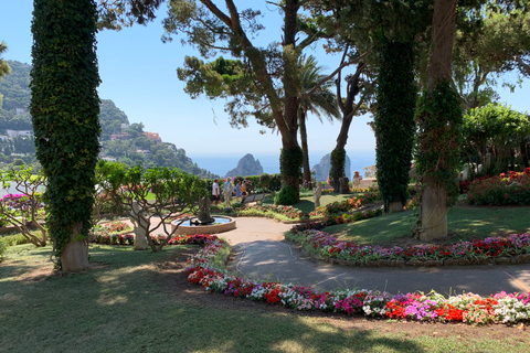 Depuis Sorrente : Excursion d'une journée à Capri et Anacapri avec la Grotte BleueVisite de Capri en anglais