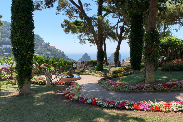 Depuis Sorrente : Excursion d'une journée à Capri et Anacapri avec la Grotte BleueVisite de Capri en espagnol