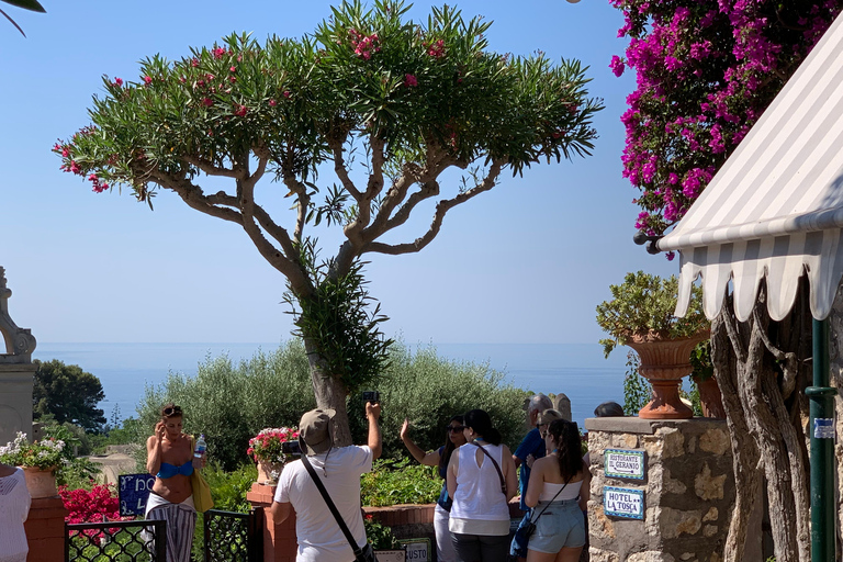 Depuis Sorrente : Excursion d'une journée à Capri et Anacapri avec la Grotte BleueVisite de Capri en espagnol