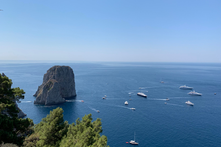 Depuis Sorrente : Excursion d'une journée à Capri et Anacapri avec la Grotte BleueVisite de Capri en espagnol