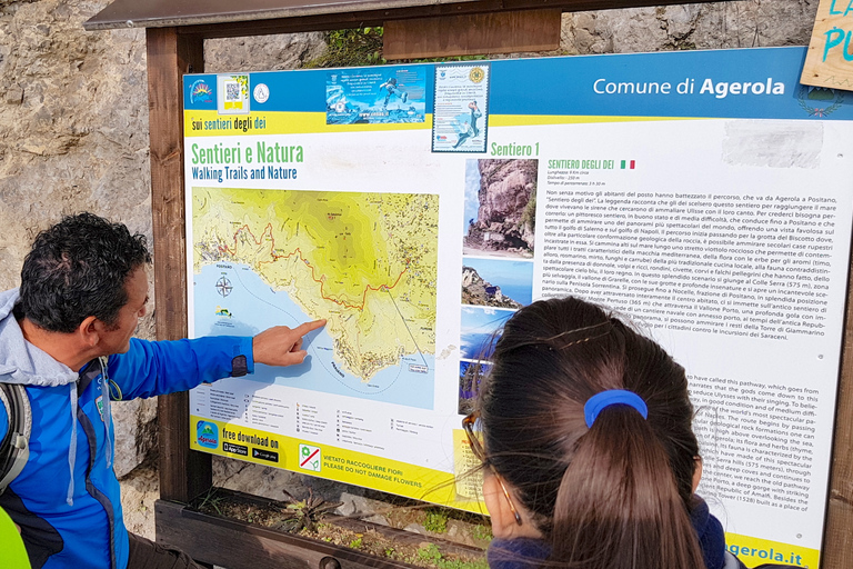 De Sorrento: Caminhada guiada pelo Caminho dos Deuses com traslados