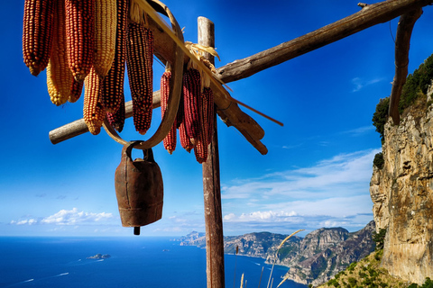 Vanuit Sorrento: wandeltocht Pad der Goden