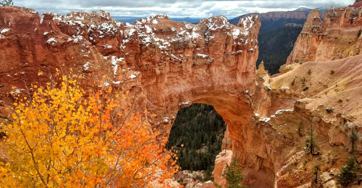 Bryce Canyon National Park: 3-Hour Sightseeing Tour