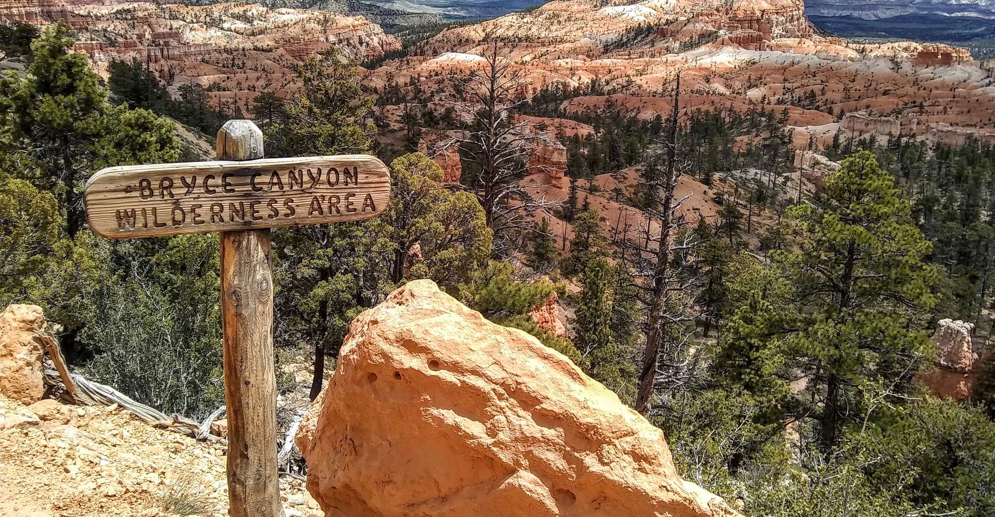 Bryce, Führung durch den Nationalpark Bryce Canyon - Hizvo