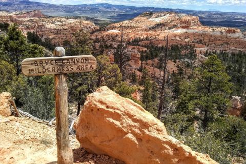 Bryce: giro turistico del parco nazionale del Bryce Canyon