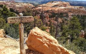 Bryce Canyon National Park: 3-Hour Sightseeing Tour