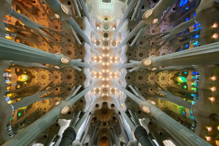 Barcelona: Gotische wijk en privétour Sagrada FamiliaBarcelona: Gotische wijk en Sagrada Familia-wandeltocht