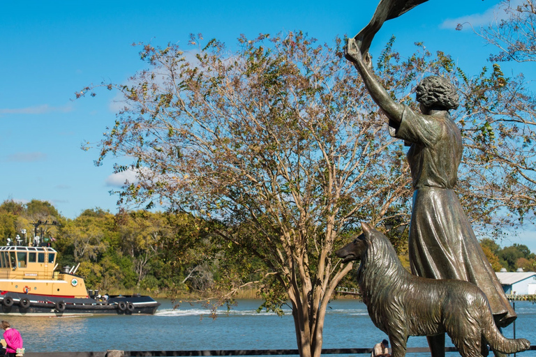 Savannah: Excursão de bonde hop-on hop-off pela cidade velhaBilhete de 1 dia