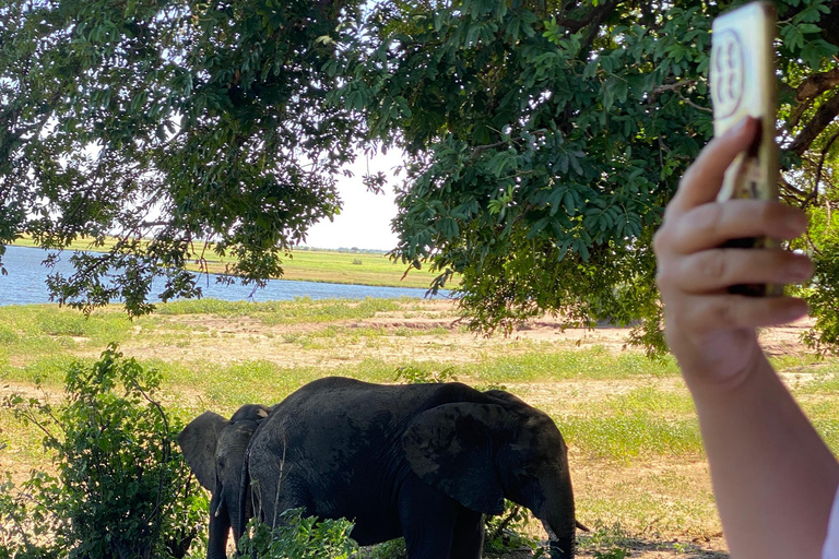 Excursión de un día a Chobe