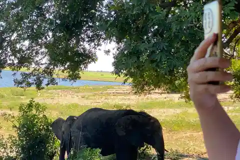 Chobe day trip