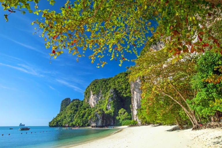 Phuket : excursion privée en hors-bord sur l'île de HongOption standard