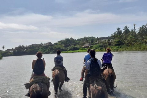 Santa Marta: Horseback riding on Los Naranjos beach Tayrona