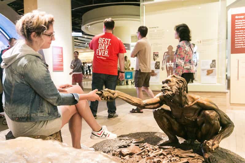 Washington DC Smithsonian Natural History Museum Tour GetYourGuide