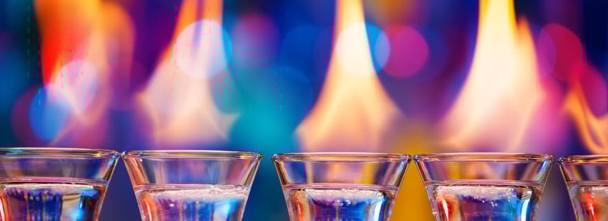 Visite privée de dégustation de vodka à Torun