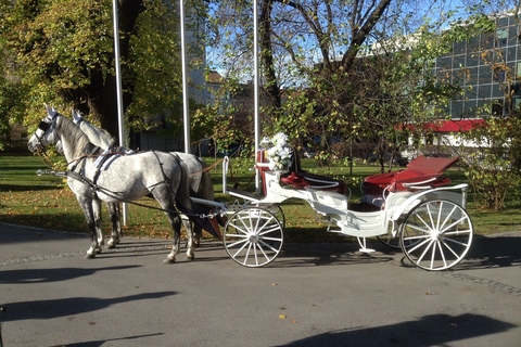 Viena: 30 minutos de paseo en Fiaker por el casco antiguoViena: Paseo vespertino de 30 minutos en Fiaker por el casco antiguo