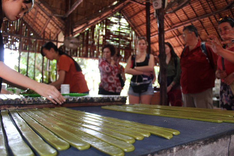 Ho Chi Minh: Mekong Delta Cai Be Floating Market Day TourPrivate Tour