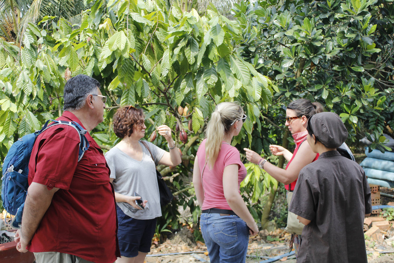 Ho Chi Minh: Mekong Delta Cai Be Floating Market Day TourPrivate Tour