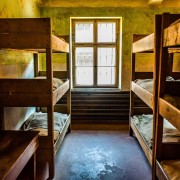Auschwitz-Birkenau: Pääsylippu ja live-opas