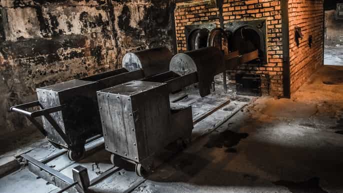 auschwitzbirkenau entrance ticket and live tour guide