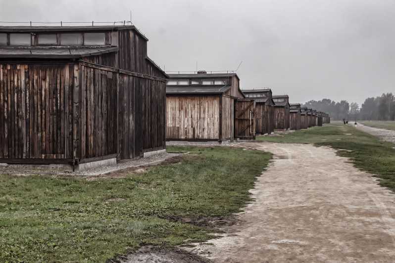 Auschwitz-Birkenau: biglietto di ingresso e tour guidato