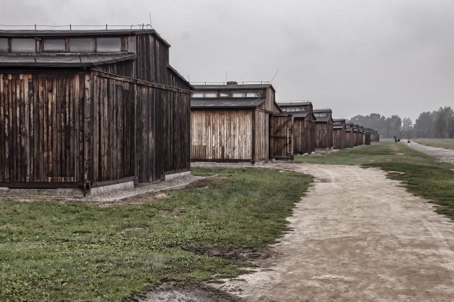 Visit Auschwitz-Birkenau Entrance Ticket and Live Tour Guide in Bielsko-Biala, Poland