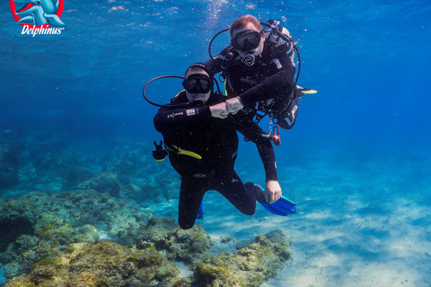 Grande Canarie : cours de plongée sous-marine pour débutant