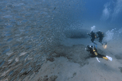 Grande Canarie : cours de plongée sous-marine pour débutant