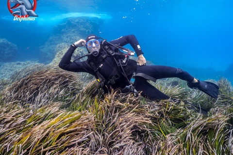 Grande Canarie : cours de plongée sous-marine pour débutant