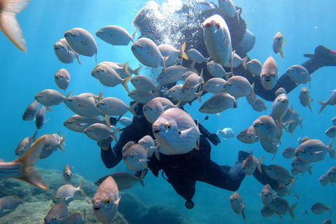 Grande Canarie : cours de plongée sous-marine pour débutant