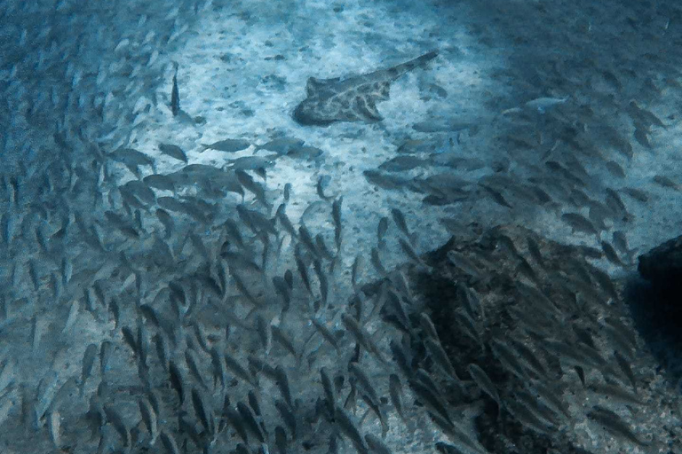 Gran Canaria: 3-Day Open Water Diver Course