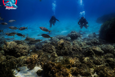Gran Canaria: 3-Day Open Water Diver Course