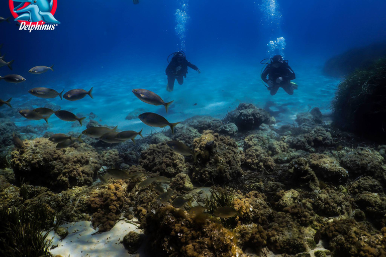 Gran Canaria: 3-Day Open Water Diver Course