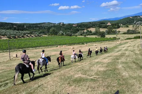 Firenze: Ridetur med vinsmaking og transport