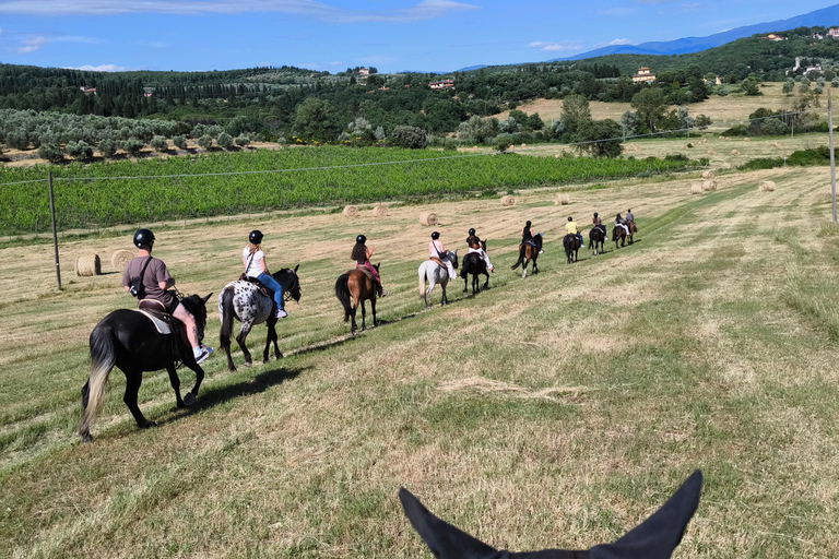 Firenze: Tour a cavallo con degustazione di vini e trasferimento