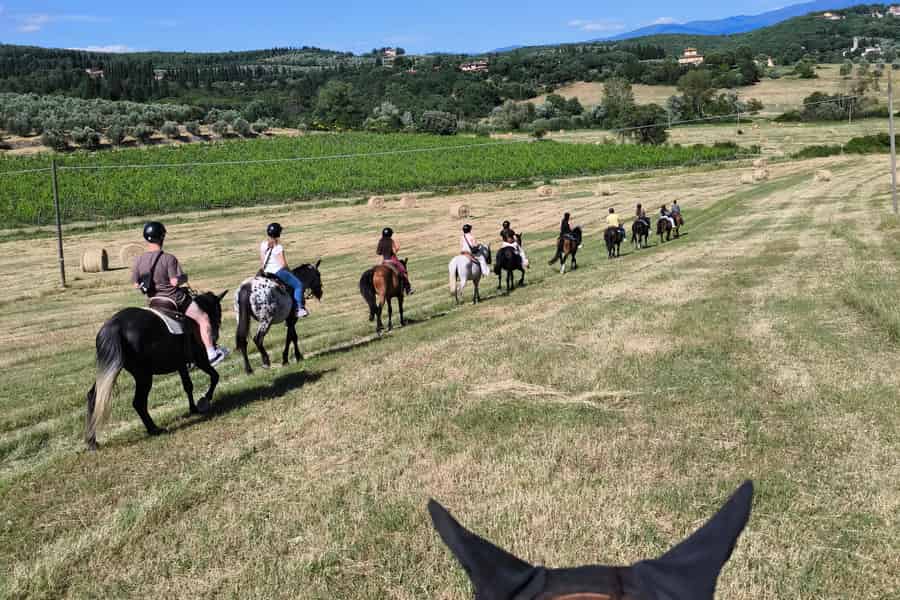 Florenz: Reittour mit Weinverkostung & Transfer