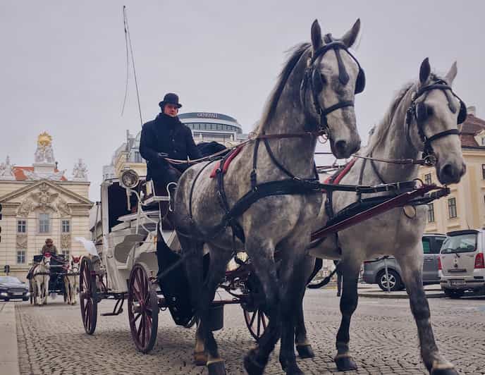 Vienna: 30-Minute Fiaker Ride in the Old Town | GetYourGuide