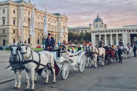 Vienna: 30-Minute Fiaker Ride in the Old Town