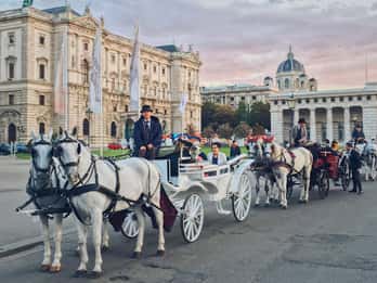 Wien: Fiaker-Fahrt in der Altstadt Wien: Fiaker-Fahrt in der Altstadt