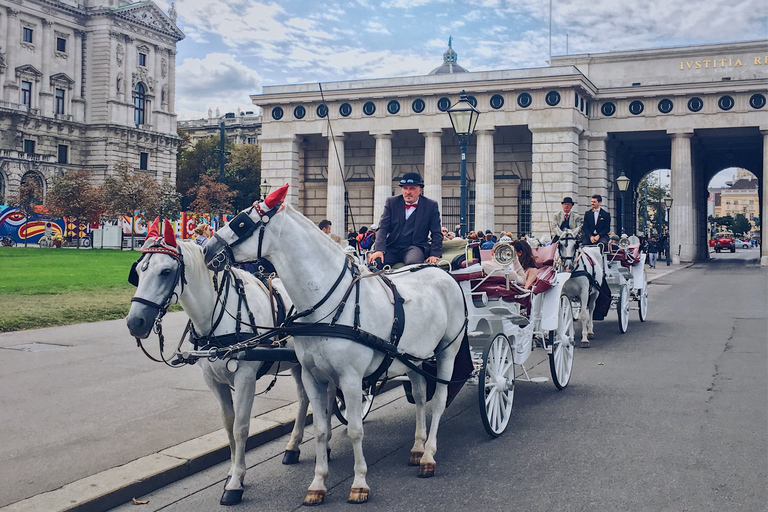 Viena: Passeio de Fiaker de 30 minutos no centro históricoViena: Passeio de Fiaker de 30 minutos à tarde na Cidade Velha