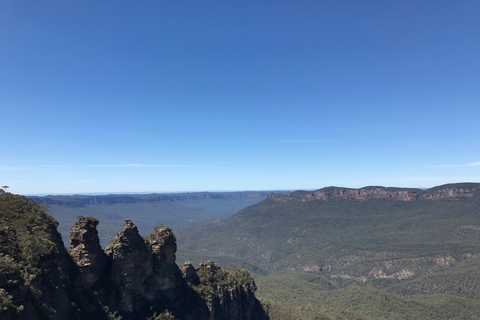 Desde Sidney: Excursión de un día a las Montañas Azules con crucero por el río