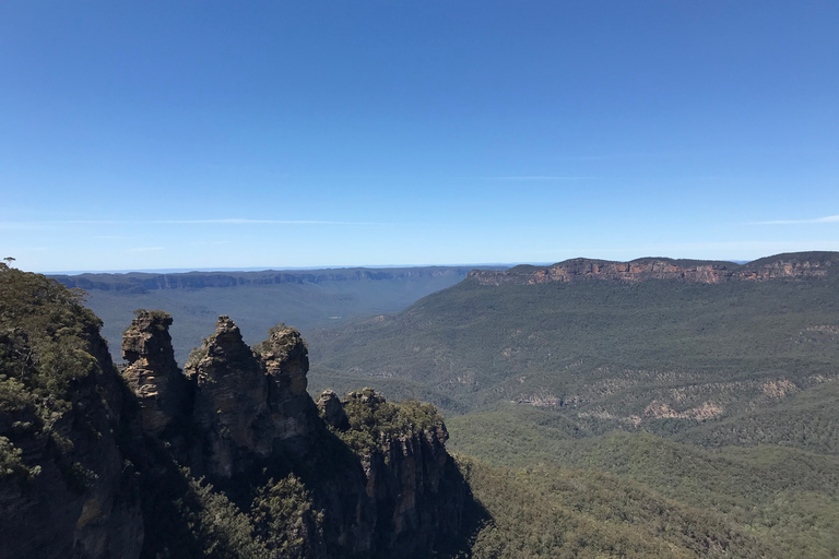 Depuis Sydney : Excursion d&#039;une journée dans les Montagnes Bleues avec croisière fluviale