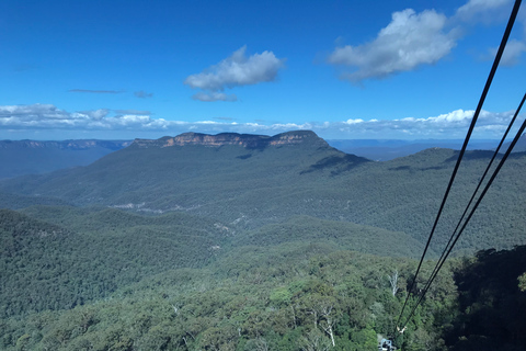 Depuis Sydney : Excursion d&#039;une journée dans les Montagnes Bleues avec croisière fluviale