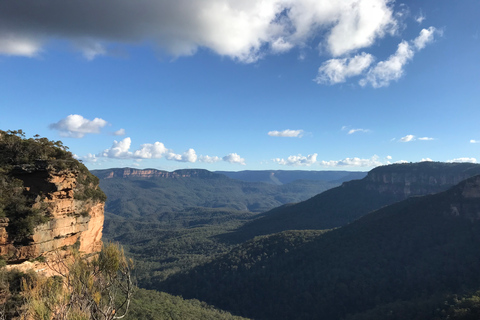 De Sydney: Viagem de 1 dia às Blue Mountains com cruzeiro pelo rio