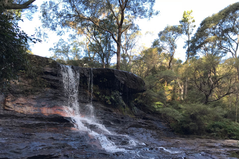 Desde Sidney: Excursión de un día a las Montañas Azules con crucero por el río