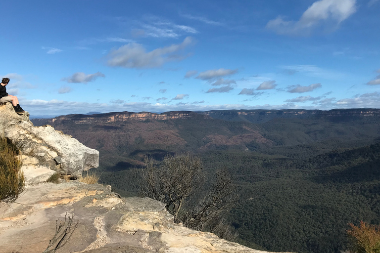 Från Sydney: Dagsutflykt till Blue Mountains med flodkryssning